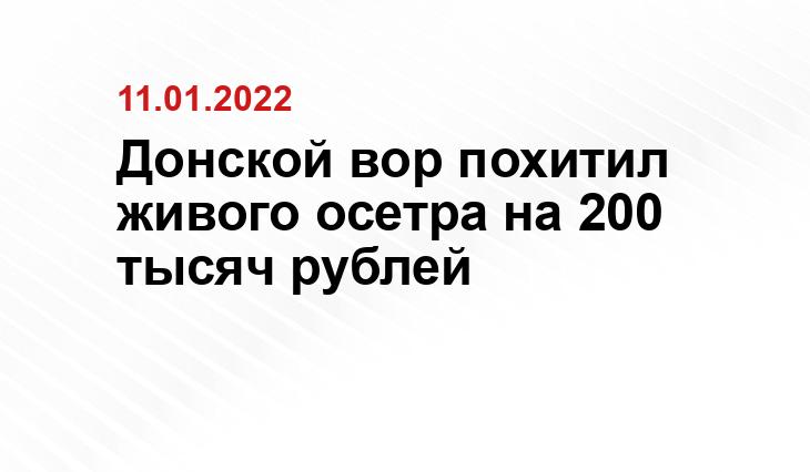 https://pulse.mail.ru/