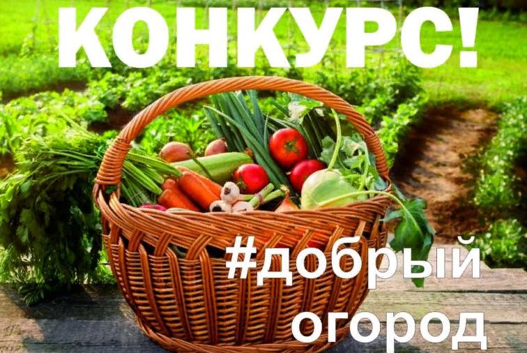 «Добрый огород»-2023: сезон открыт https://www.donland.ru