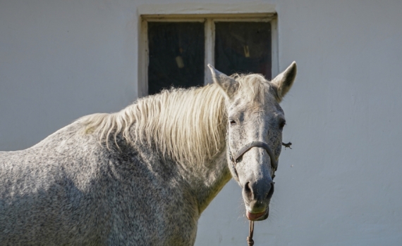 Что можно и нельзя делать по Луне 24 ноября 2025: понедельник под покровительством Единорога