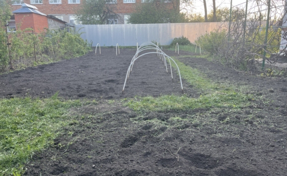 Оживите землю — и теплица отблагодарит урожаем: простой план подготовки почвы — не совершите ошибку Оживите землю — и теплица отблагодарит урожаем: простой план подготовки почвы — не совершите ошибку