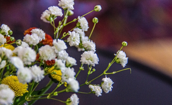 Как выбрать цветы на праздник, которые не завянут за день: 7 секретов от Роспотребнадзора Как выбрать цветы на праздник, которые не завянут за день: 7 секретов от Роспотребнадзора